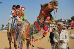 04 Nights / 05 Days Pushkar Fair Tour Package