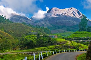 04 Nights / 05 Days Munnar Thekkady Alleppey Tour Package from Cochin