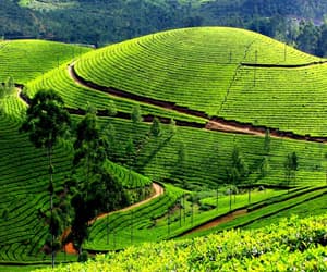 Kerala Tour Packages