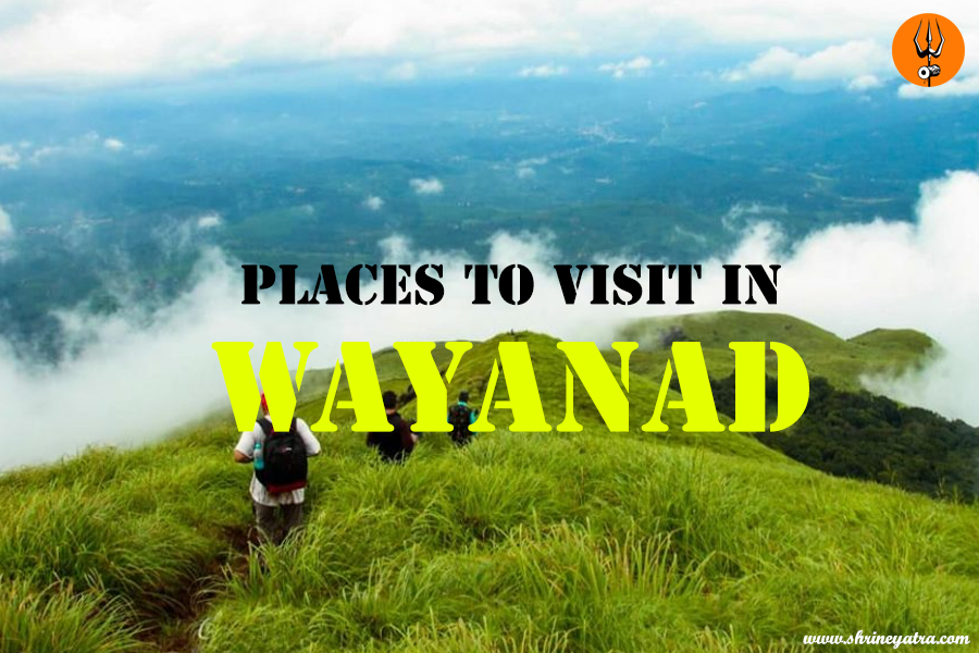 Places to Visit in Wayanad